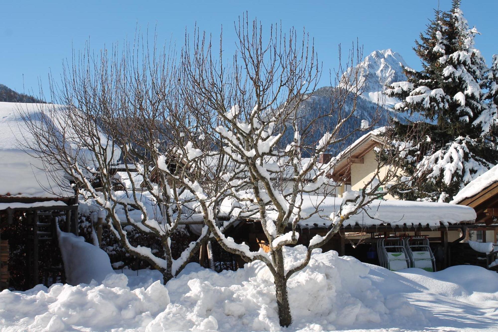 Ferienapartmenthaus Hubertushof Mittenwald Exterior photo